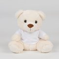 Osito de peluche