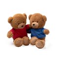 Oso de peluche con camiseta personalizable