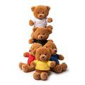 Oso de peluche con camiseta personalizable