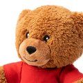 Oso de peluche con camiseta personalizable