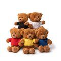 Oso de peluche con camiseta personalizable