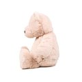 Oso de peluche personalizable