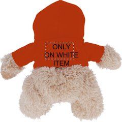Osito de peluche con sudadera de capucha de colores | TSHIRT BACK TS | 35 x 20