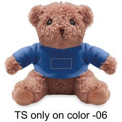 Oso de peluche pequeño con camiseta | Frontal | 25 x 12