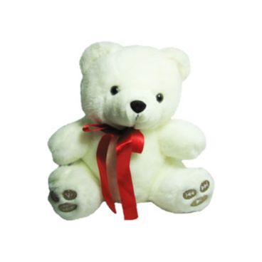 Oso de Peluche con MP3