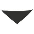 Pañoleta Triangular Pack de 10 Ne