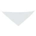 Pañoleta Triangular Pack de 10 Bl