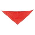 Pañoleta Triangular Pack de 10 Ro