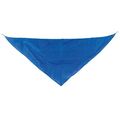Pañoleta Triangular Pack de 10 Ry