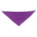 Pañoleta Triangular Pack de 10 Li