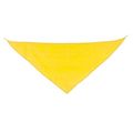 Pañoleta Triangular Pack de 10 Am
