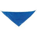 Pañoleta Triangular Pack de 10 RY