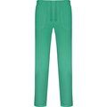 Pantalón Largo Unisex de Servicios Verde Lab 3Xl