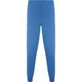 Pantalón sanidad  largo unisex Azul Lab L
