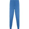 Pantalón sanidad  largo unisex Azul Lab M