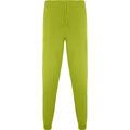 Pantalón sanidad  largo unisex Pistacho 2Xl