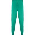 Pantalón sanidad  largo unisex Verde Lab 2Xl