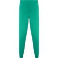 Pantalón sanidad  largo unisex Verde Lab S