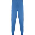 Pantalón sanidad  largo unisex AZUL LAB L