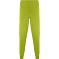 Pantalón sanidad  largo unisex Pistacho 2XL