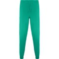 Pantalón sanidad  largo unisex VERDE LAB 3XL