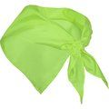 Pañuelo festero de tela fina Verde Mantis UNICA