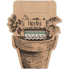 Palitos con Semillas de Hierbas Aromáticas | Frontal | 50 x 20