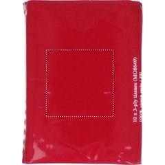 Paquete Mini de Pañuelos | Trasero | 30 x 30