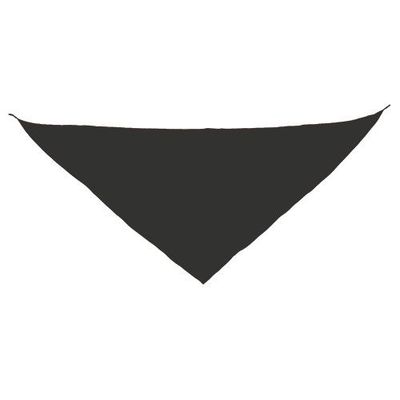 Pañoleta Triangular Pack de 10 Ne