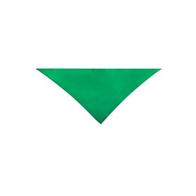 Pañoleta RPET Triangular Ver