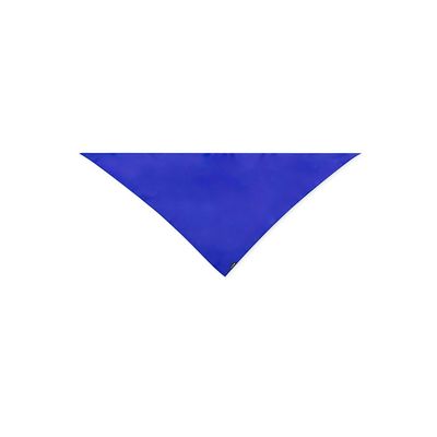 Pañoleta RPET Triangular Azul