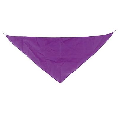 Pañoleta Triangular Pack de 10 Li