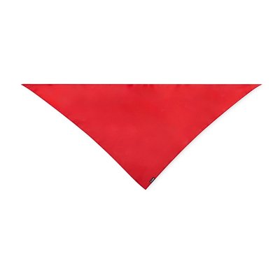 Pañoleta RPET Triangular Rojo