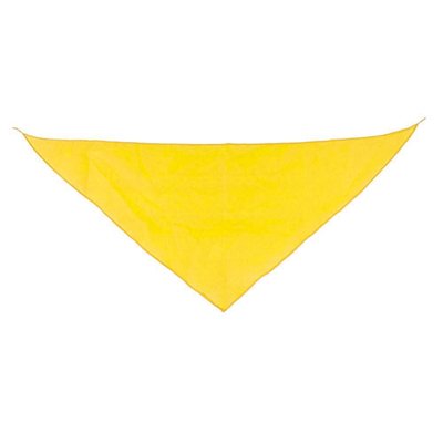 Pañoleta Triangular Pack de 10 AM