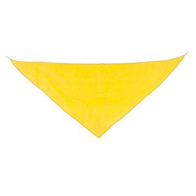 Pañoleta Triangular Pack de 10