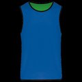 Peto reversible Sporty Royal Blue / Green XXL/3XL