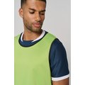 Peto reversible