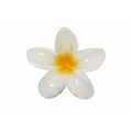 Pinza para el pelo 8 dientes Flor