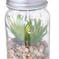 Planta Decorativa con LEDs y Tarro de Cristal