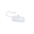 Power Bank 5000mAh ABS con Soporte