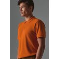 Polo Orgánico Hombre