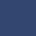 Polo infantil 100% algodón Royal Blue 4/6 ans