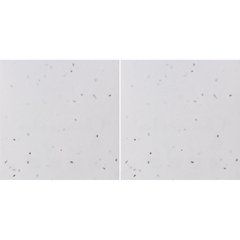 Posavasos de papel de semillas | Ambos | 200 x 100