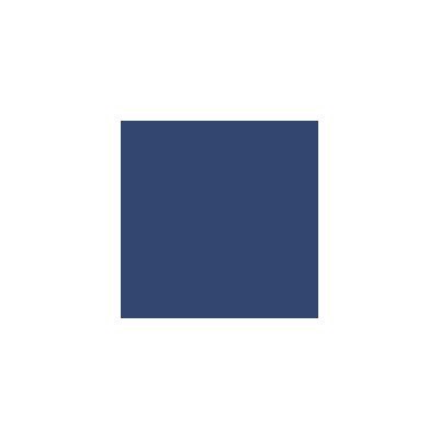 Polo infantil 100% algodón Royal Blue 4/6 ans