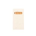 Producto Set 6 Lápices Colores con Semillas