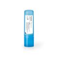 Protector Labial Varios Colores
