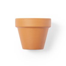 Producto Maceta Terracota con Semillas Flor y Sustrato
