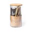 Producto Mini Invernadero de Cristal con Semillas de Cactus UE