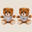 Producto Osito de peluche personalizable