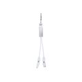 Puerto USB cargador aluminio reciclado Plat